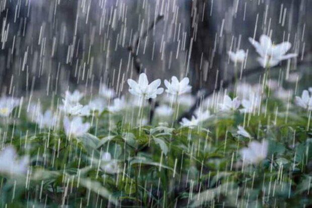 🌧فعالیت سامانه بارشی در آذربایجان‌غربی تشدید می‌شود