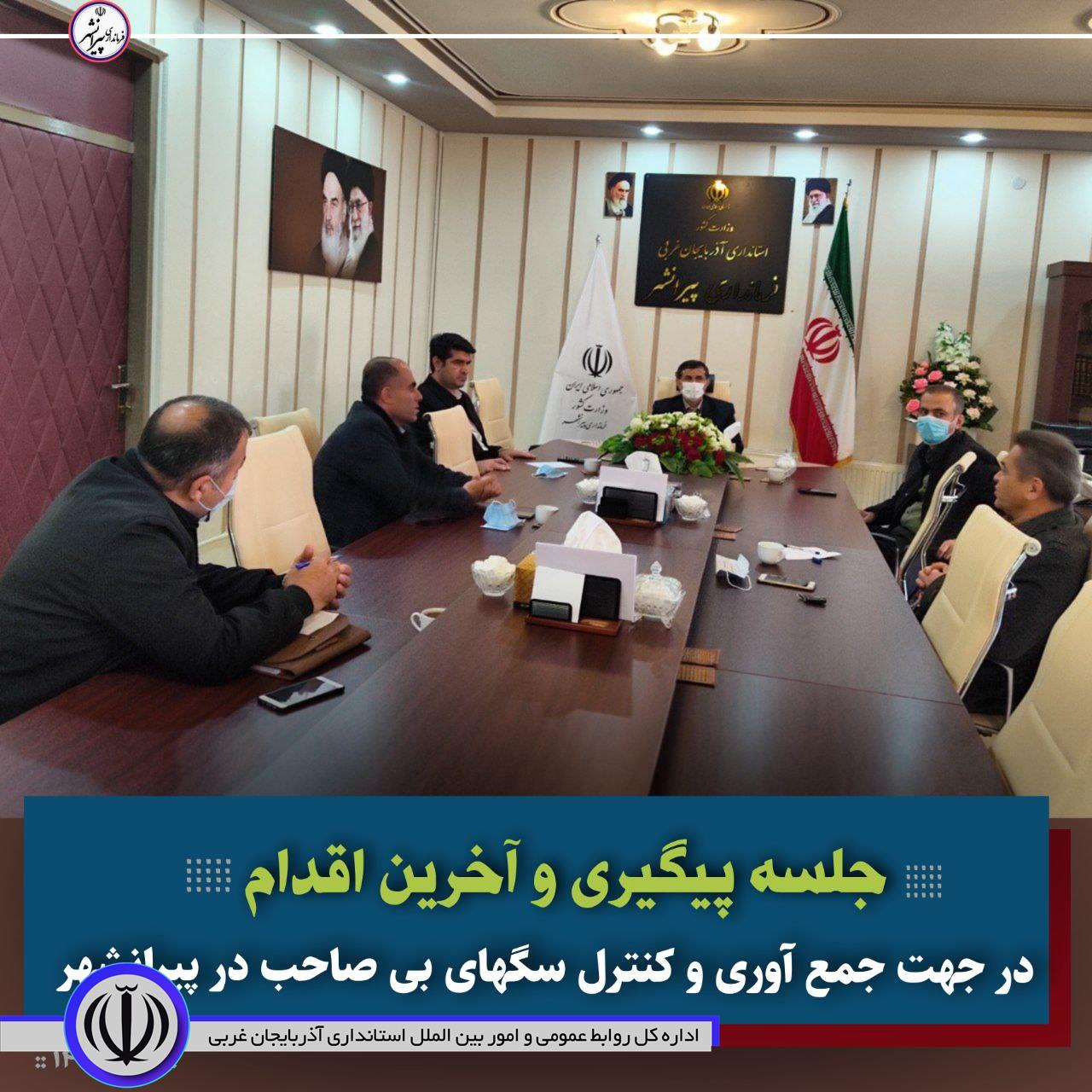 🔴 جلسه پیگیری و آخرین اقدام در جهت جمع آوری و کنترل سگهای بی صاحب در شهرستان پیرانشهر